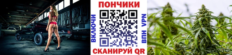 купить наркоту  Кунгур  Шишки марихуана семена 